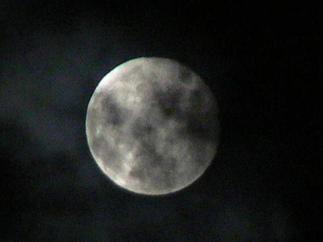 c0078592_21101649.jpg