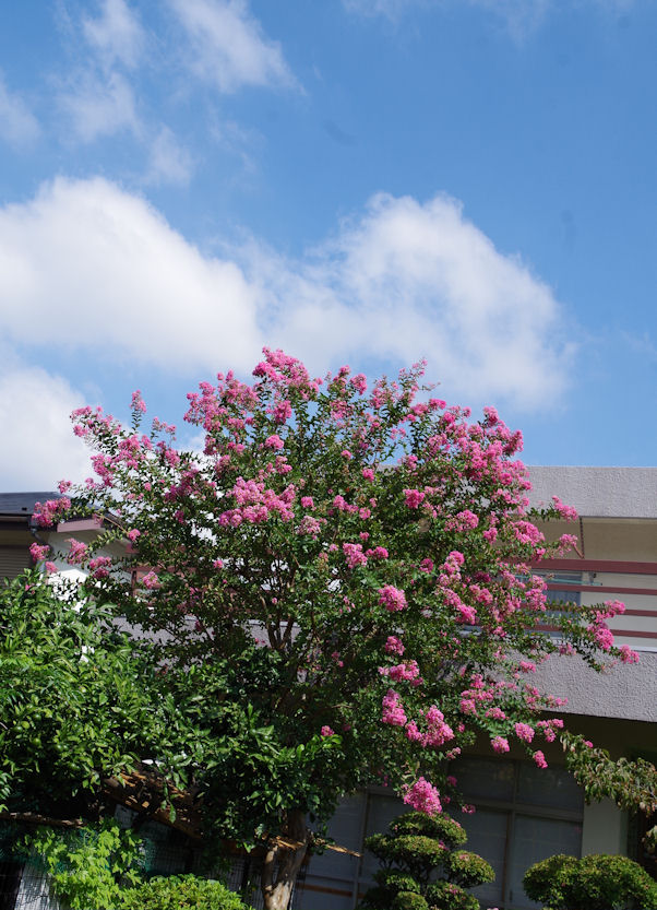 c0061695_22315175.jpg