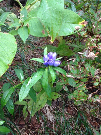続・青と緑_b0198696_22240285.jpg
