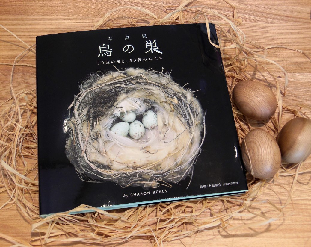 新発売 待望の日本語版発売 「写真集 -絵本からはじまる : 鳥の巣」 その他