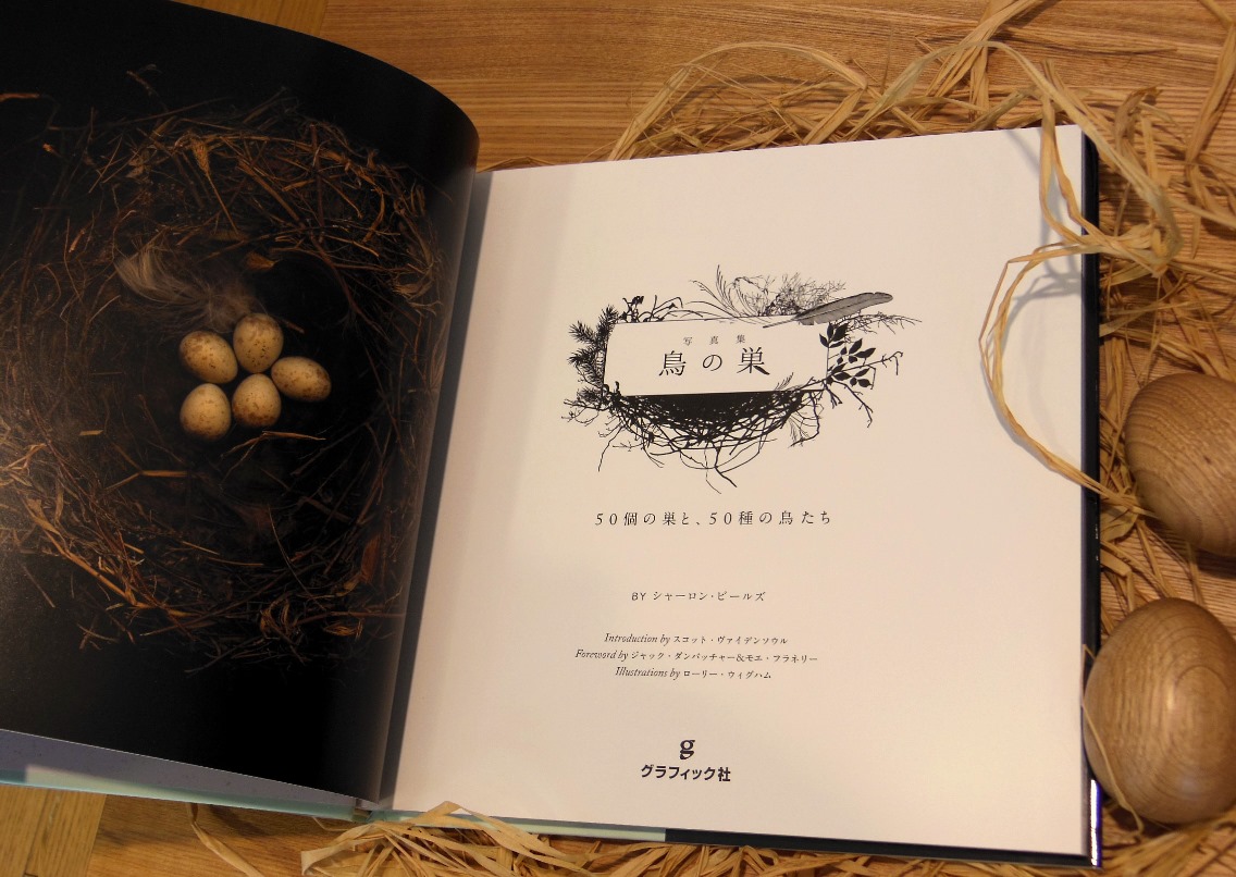 待望の日本語版発売 「写真集 鳥の巣」 : -絵本からはじまる