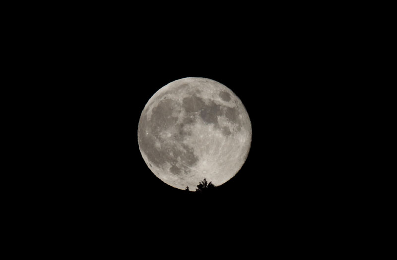 b0223198_214959.jpg