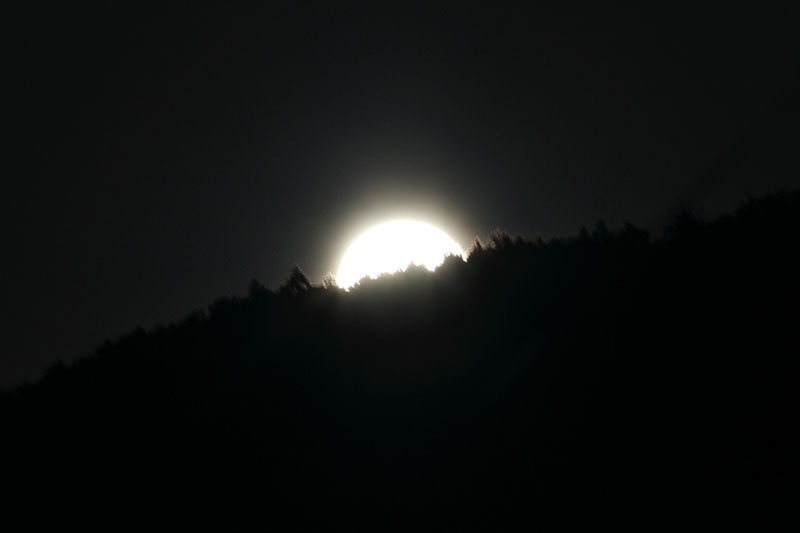 b0223198_2165490.jpg
