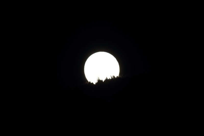 b0223198_2174579.jpg