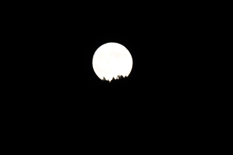 b0223198_2183777.jpg