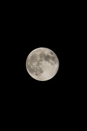 c0129498_2312428.jpg