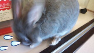 c0322903_23583167.jpg