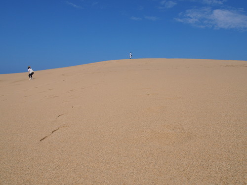 d0171803_23542578.jpg
