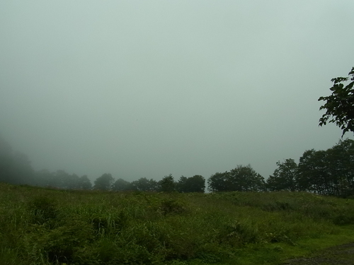 e0243008_918149.jpg