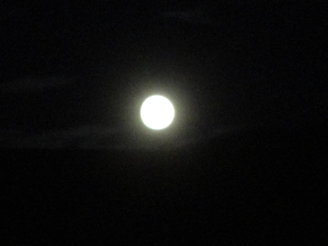 f0231709_78171.jpg
