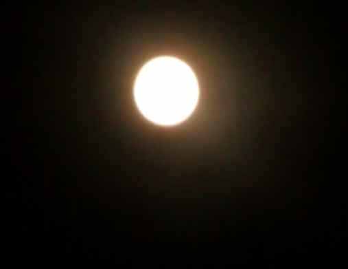 b0249310_381097.jpg
