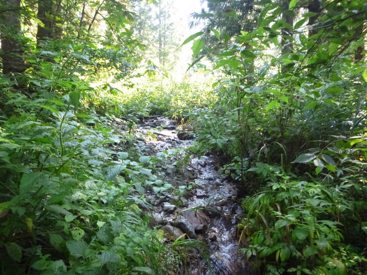 d0170615_854132.jpg