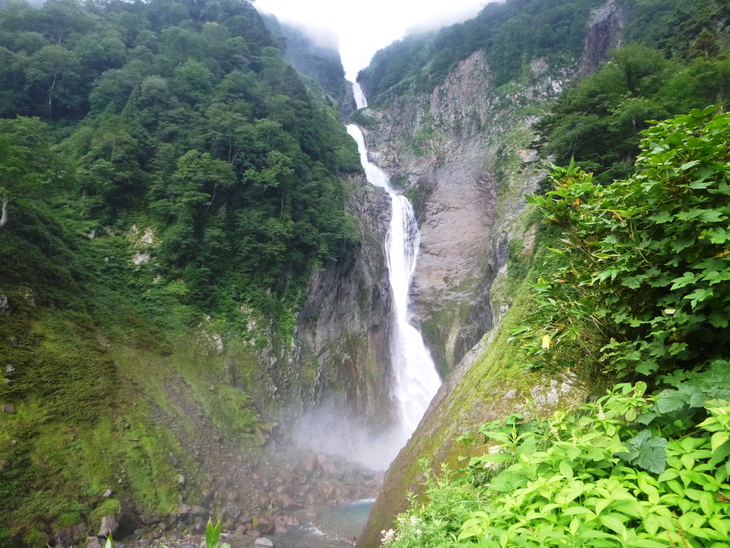 七姫山 (1,335M)　猛烈な藪途中撤退する_d0170615_86108.jpg