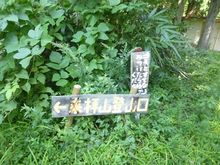 七姫山 (1,335M)　猛烈な藪途中撤退する_d0170615_862039.jpg