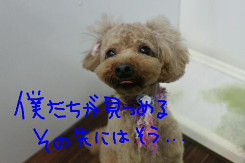 月_b0130018_11383439.jpg