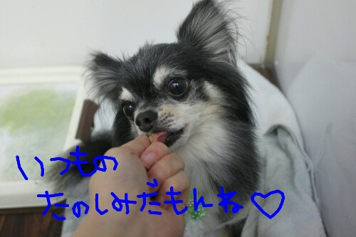 月_b0130018_11402676.jpg