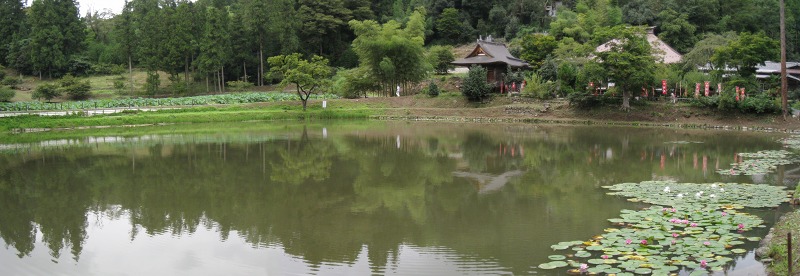 e0117318_10444423.jpg
