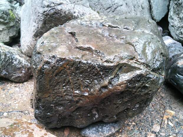 f0183722_14101122.jpg