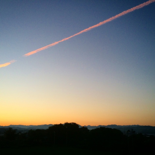 a0022625_20135595.jpg