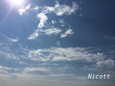 f0239625_950563.jpg
