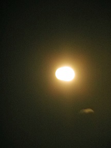 b0102728_17361741.jpg