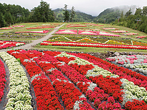 d0273732_14435260.jpg