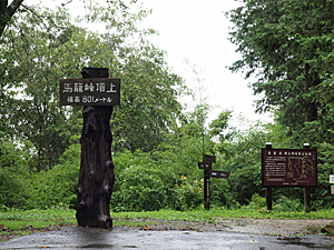 d0273732_1503239.jpg