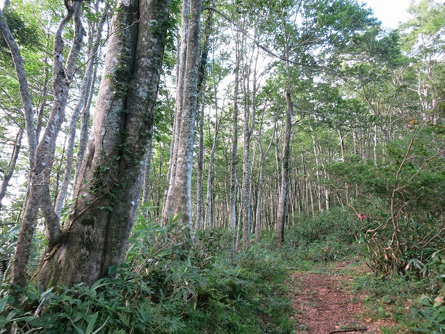 f0003138_1214618.jpg