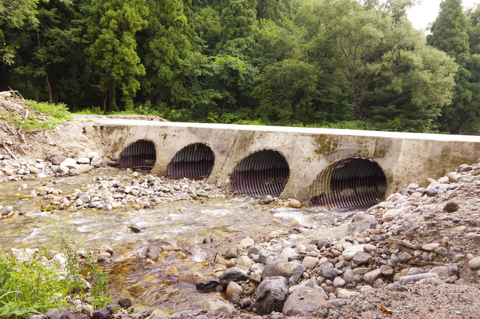 d0237340_20392599.jpg