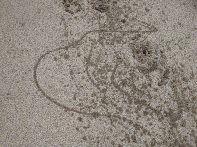 e0158841_1028267.jpg