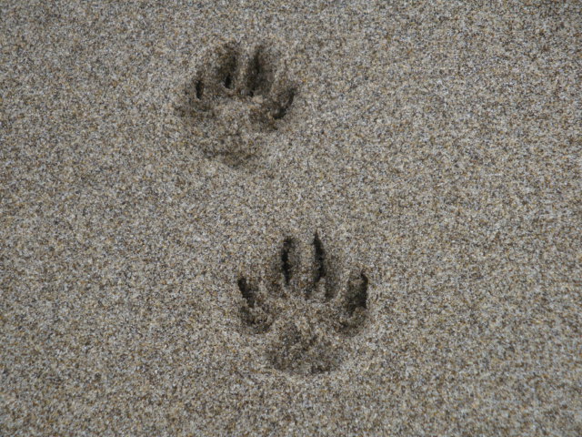 e0158841_1042436.jpg