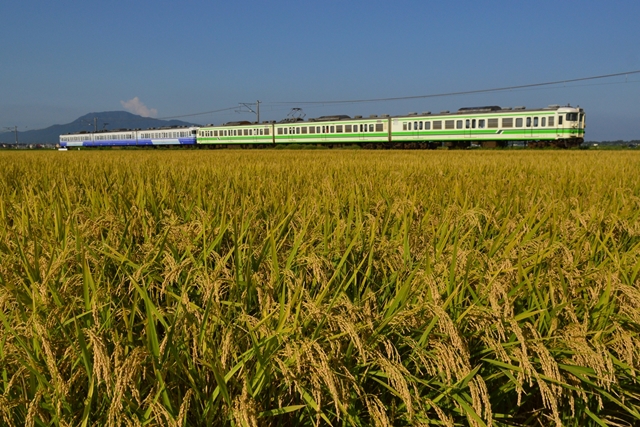 夏から秋へ 晴れのち順光