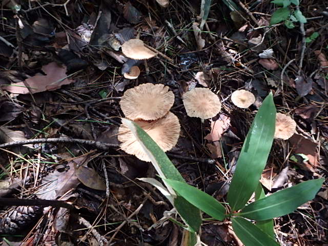 f0334143_193154100.jpg