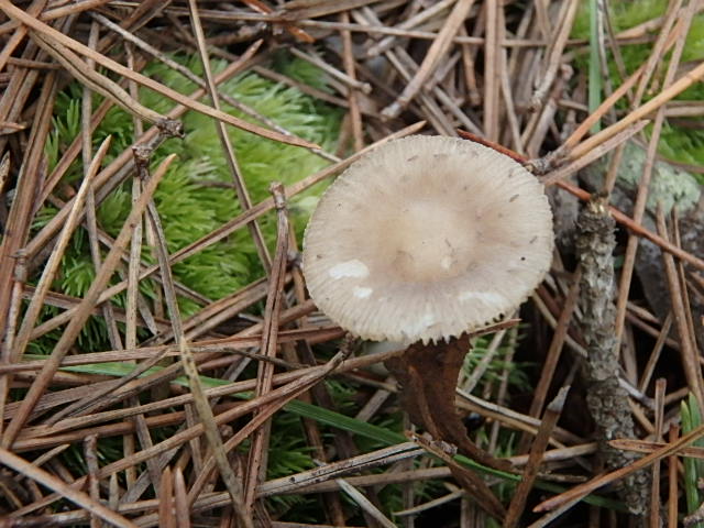 f0334143_19322264.jpg