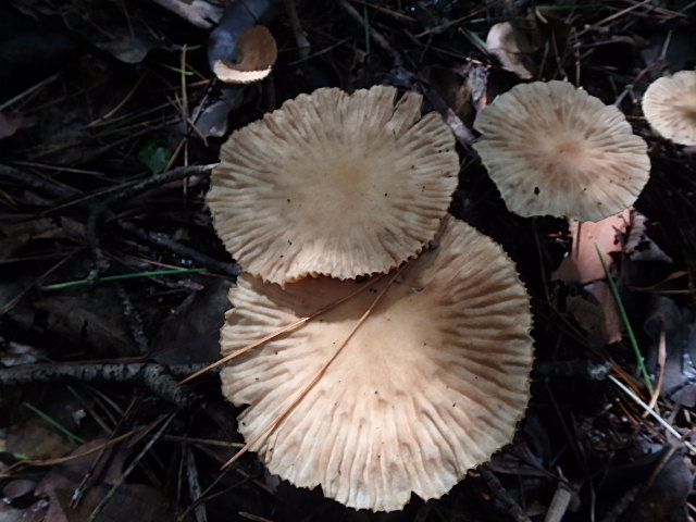 f0334143_1932236.jpg