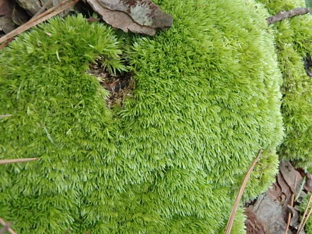 f0334143_19322938.jpg