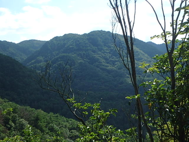 f0334143_19324880.jpg