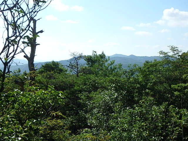 f0334143_19325663.jpg