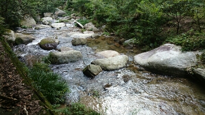 d0287649_20251639.jpg