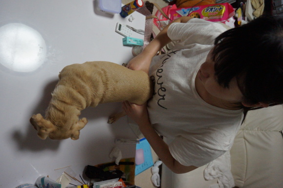 c0245751_22292030.jpg