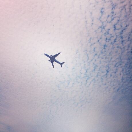 c0081552_1655266.jpg