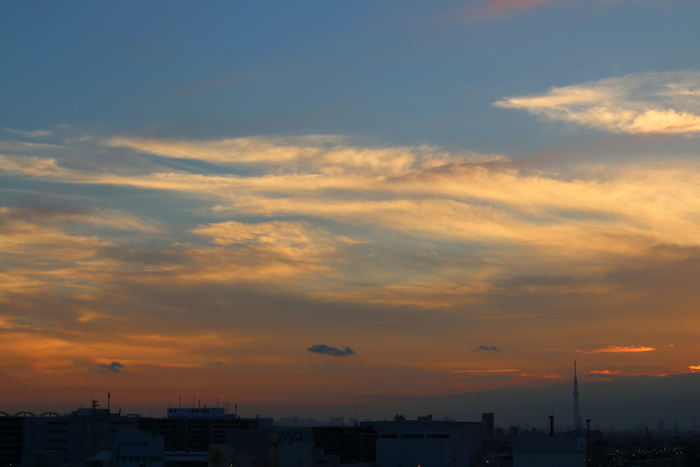 ある日の東京スカイツリー夕景_d0152261_18533440.jpg