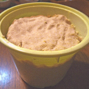 c0055363_23132354.jpg