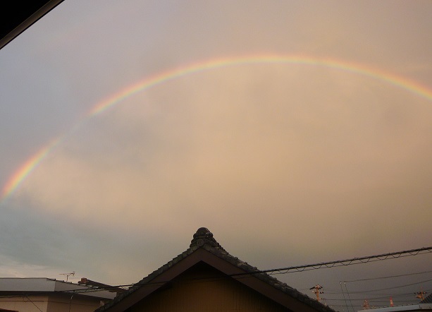 rainbow_f0130574_12435294.jpg