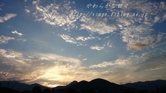 a0158478_17103669.jpg
