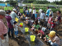 第４回菜の花農業体験教室　　平成２６年９月６日_c0145581_2333080.jpg