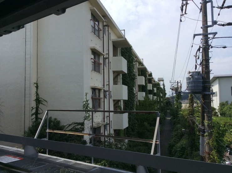 廃墟となった団地 追加写真あり 鎌倉生涯遊興センター 廃墟となった団地 追加写真あり 鎌倉生涯遊興センター