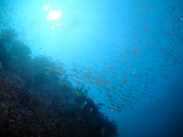 f0151886_1521103.jpg