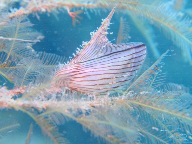 f0151886_1523165.jpg