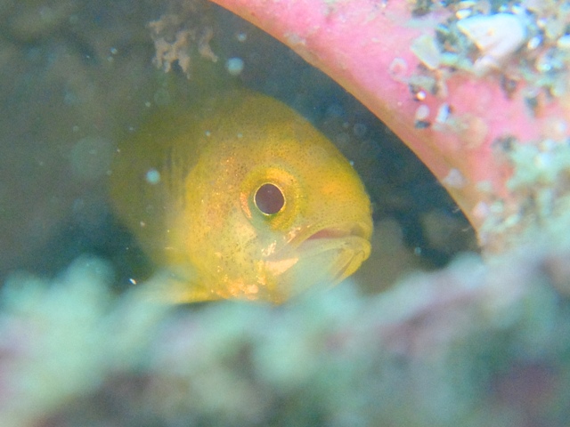 f0151886_15255764.jpg